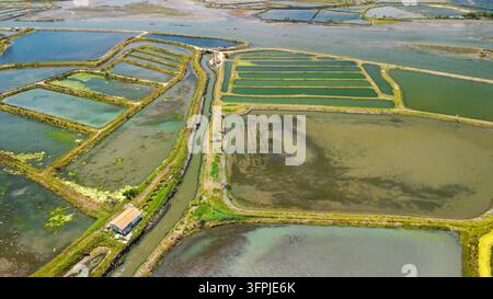 Une vue aérienne montre des marais salants géométriques et des étangs peu profonds près d'Aveiro, au Portugal. Banque D'Images