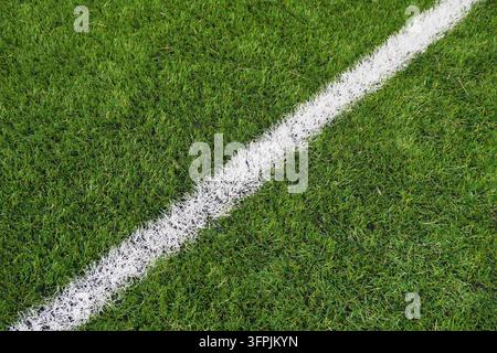 Grossissement d'une ligne blanche sur un champ d'herbe verte Banque D'Images