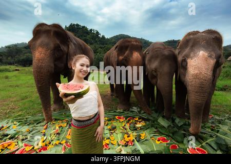 Une jeune femme tenant une pastèque à côté d'une harde d'éléphants asiatiques dans un paysage de sanctuaire tropical Banque D'Images