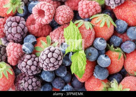 Les baies gelées de framboises, mûres, myrtilles, recouvertes de givre. Banque D'Images