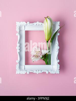 Bourgeon de lys blanc et alstroémérie dans un cadre blanc orné sur un fond rose pastel avec des feuilles vertes, capturant l'accent du printemps. Banque D'Images