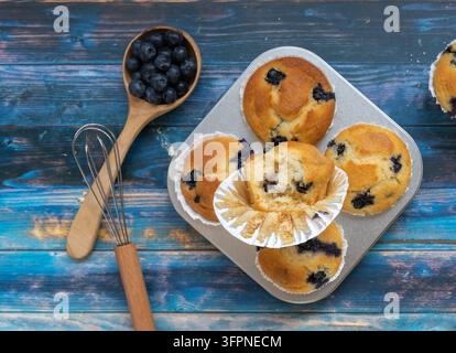 Composition en vue plongeante de muffins aux myrtilles faits maison disposés avec des myrtilles fraîches et une cuillère en bois sur une table en bois bleu rustique. Banque D'Images