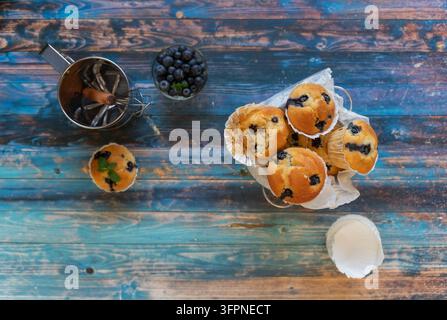 Arrangement alimentaire vu d'en haut de muffins aux myrtilles avec des myrtilles fraîches et un petit bol blanc sur un fond en bois bleu usé. Banque D'Images