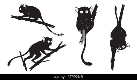 Silhouettes de primates tarsiers grimpant et se suspendant aux branches des arbres avec des animaux sauvages Illustration de Vecteur