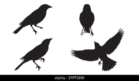 Ensemble de graphismes vectoriels de silhouettes d'oiseaux corbeaux dans diverses poses avec silhouette Illustration de Vecteur