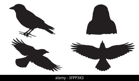 Collection de silhouettes d'oiseaux noirs dans différentes poses avec silhouette Illustration de Vecteur