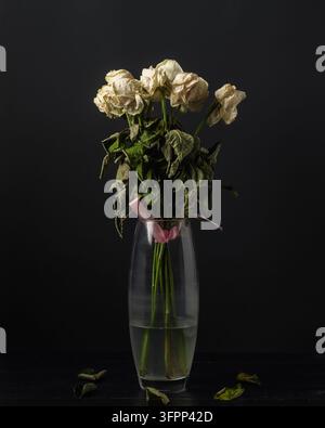 Roses blanches fanées dans un vase transparent sur fond sombre montrant une romance calme et fanée, la perte et la fin de la célébration avec espace de copie. Banque D'Images