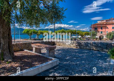 Un banc en pierre se trouve à l'ombre d'un olivier sur une terrasse en pierre surplombant une promenade pittoresque au bord du lac, une eau bleue et des montagnes à Torr Banque D'Images