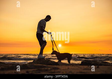 Un homme en silhouette promène un chien le long d'une côte rocheuse au coucher du soleil, avec le soleil brillant sur la mer. Banque D'Images