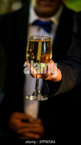 Homme élégant en costume et nœud papillon tenant un verre de vin blanc Banque D'Images