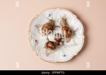 Quatre escargots vivants rampant sur une assiette en porcelaine vintage Banque D'Images
