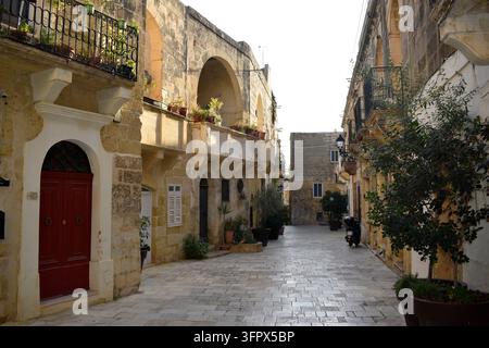 Rue de la vieille ville à Victoria (Rabat), Gozo, Malte, avec une porte en bois rouge, des balcons en pierre, des arbres en pot et un pavage en pierre Banque D'Images