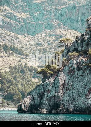 Un plan vertical mettant en valeur la côte accidentée et rocheuse de Majorque, en Espagne, avec des pins verdoyants accrochés aux falaises. Les eaux turquoise claires Banque D'Images