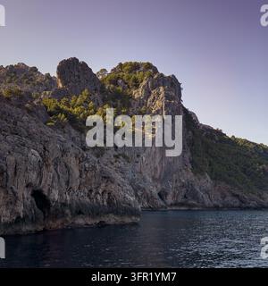 Un plan vertical mettant en valeur la côte rocheuse accidentée de Majorque, en Espagne. Les forêts de pins recouvrent les parties supérieures des falaises, avec des grottes marines visibles à Banque D'Images