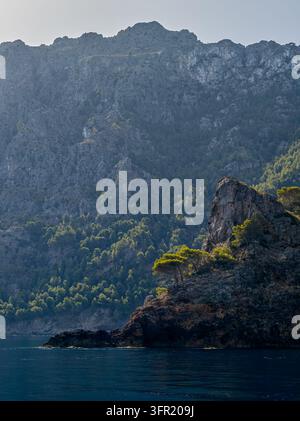 Un cliché vertical détaillé mettant en valeur des pins verdoyants accrochés aux falaises côtières rugueuses et texturées de Majorque, en Espagne. La mer d'un bleu profond est visible Banque D'Images