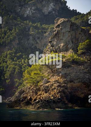 Un plan vertical mettant en valeur les falaises côtières accidentées de Majorque, en Espagne, avec des pins verts luxuriants accrochés au terrain rocheux. Le bleu profond de la Méditerranée Banque D'Images