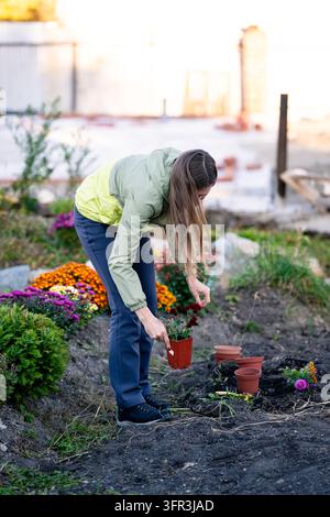 Femme plantant des fleurs d'automne colorées dans le jardin de l'arrière-cour pendant les travaux de jardinage saisonniers Banque D'Images
