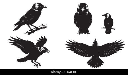 Silhouettes d'oiseaux corbeaux dans diverses positions de vol et de perchoir avec du noir Illustration de Vecteur