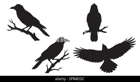 Silhouettes de corbeaux noirs dans différentes postures sur des branches et avec les ailes déployées Illustration de Vecteur