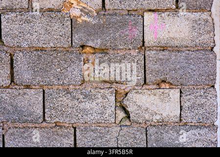 Une vue rapprochée d'un mur de blocs de béton gris usé à l'extérieur montrant des blocs de béton rectangulaires rugueux joints par du mortier avec des fissures visibles. Deux rose c Banque D'Images