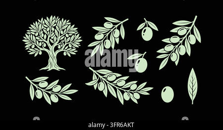 Olivier et branches avec olives et feuilles sur fond noir botanique Illustration de Vecteur