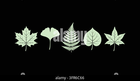 Ensemble d'illustrations de feuilles vertes variées sur fond noir avec éléments botaniques Illustration de Vecteur