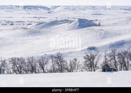 Vieille grange abandonnée altérée se trouve dans un champ enneigé avec des collines couvertes de neige et des arbres sans feuilles au loin Banque D'Images