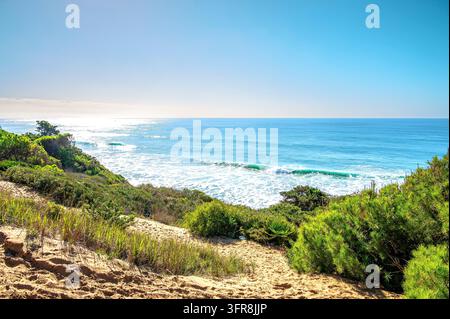 Dunes côtières de sable avec une végétation verte dense surplombant l'océan Atlantique dans le Parque Natural de la Brena y Marismas de Barbate, Andalousie, Espagne o Banque D'Images
