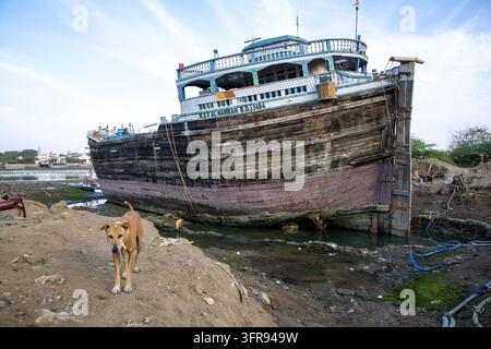 Chien errant debout sur la rive boueuse devant un grand navire cargo en bois érodé, Gujarat, Mandvi, Inde Banque D'Images