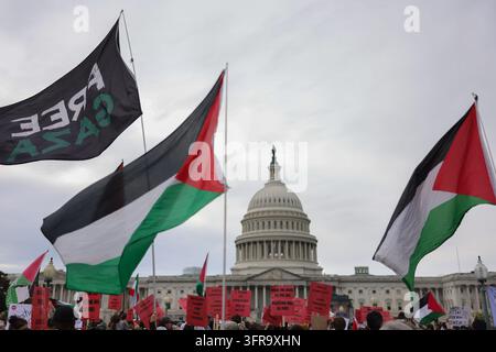 Washington, District of Columbia, États-Unis. 10 octobre 2026. Des manifestants pro-palestiniens se rassemblent en soutien à Gaza au Capitole des États-Unis à Washington, DC le 10 octobre 2026. (Credit Image: © Bryan Dozier/ZUMA Press Wire) UTILISATION ÉDITORIALE UNIQUEMENT ! Pas pour un USAGE COMMERCIAL ! Banque D'Images