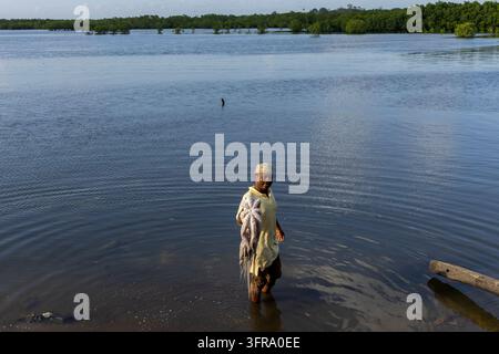 Pêcheur portant une casquette kofia, debout jusqu'aux genoux dans les eaux calmes des mangroves et tenant des pieuvres fraîchement pêchées, avec des mangroves à l'horizon, Zanzibar Banque D'Images