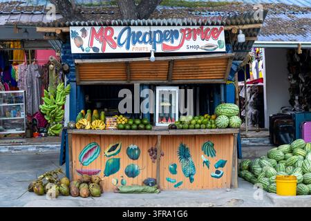 Étal de fruits coloré au bord de la route appelé Mr Cheaper Price avec des murs en tôle peints, des bananes, des pastèques, des papayes, des noix de coco et des ananas exposés, Za Banque D'Images