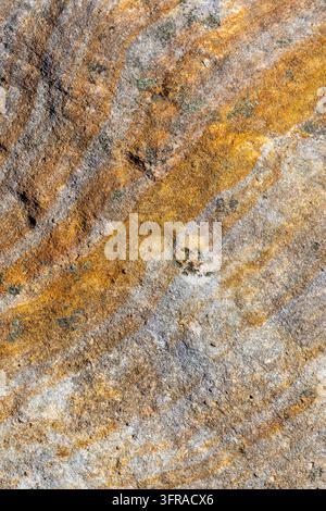 Gros plan d'une surface de roche grésoise érodée couverte de motifs de lichens orange et gris, Ihorombe, Isalo, Madagascar Banque D'Images
