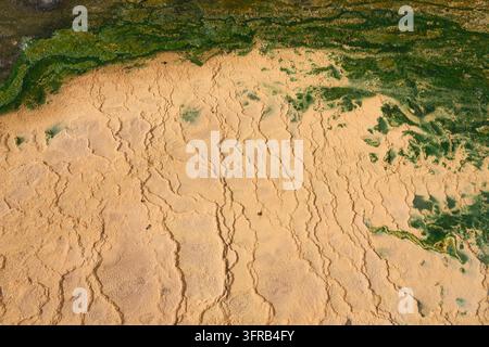 Dépôts de sources minérales et motif d'algues vertes avec fond en texture de travertin naturel Banque D'Images