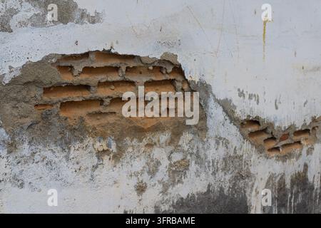 Enduit blanc effrité sur un vieux mur exposant des briques orange et des joints de mortier, gros plan d'une surface murale endommagée Banque D'Images