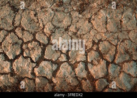 Texture de sol craquelée et déshydratée dans un champ cultivé sec sous des conditions estivales rudes. Sécheresse agricole, pénurie d'eau, stress thermique et environnement Banque D'Images