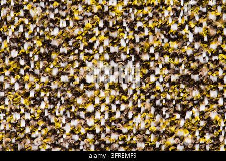 Photographie en gros plan d'un tissu bouclé tissé jaune, brun et blanc, présentant un motif de fil bouclé texturé et un éclairage naturel uniforme Banque D'Images