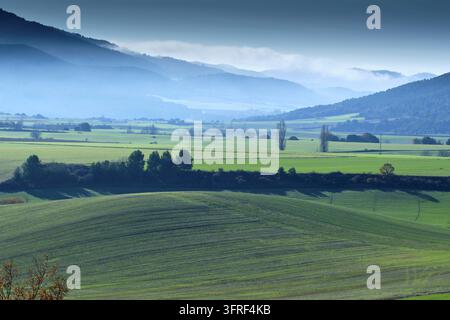 Une vue panoramique des collines charmantes et des champs d'un vert vibrant dans la vallée d'Allin, Navarre, Espagne. L'image capture la beauté sereine du paysage vallonné Banque D'Images