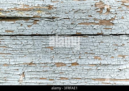 Une vue complète détaillée d'un vieux mur en bois présentant une peinture bleu clair fortement craquelée et écaillée, révélant le bois vieilli en dessous. Ce r Banque D'Images