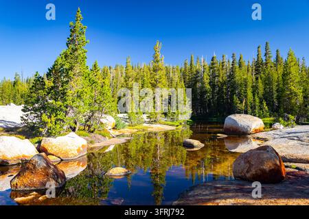 Les eaux du lac Cathedral reflètent le paysage forestier environnant sous un ciel clair de Yosemite Banque D'Images