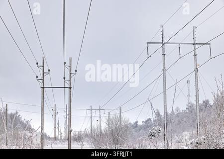 Réseau de transmission d'électricité dans un paysage hivernal enneigé Banque D'Images