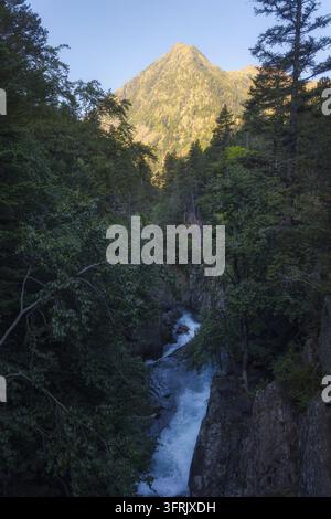 Une cascade tranquille coule à travers une végétation luxuriante, se découpant sur les montagnes imposantes de la belle vallée de Benasque dans les Pyrénées espagnoles Banque D'Images