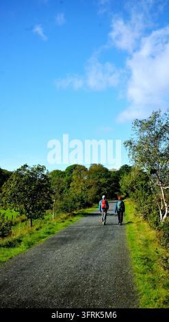 Deux randonneurs âgés sur le sentier de Mawddach, Parc national d’Eryri Banque D'Images