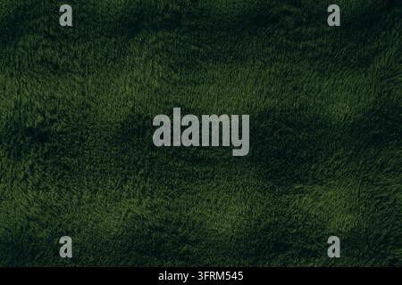 Texture textile en fausse fourrure vert foncé Banque D'Images