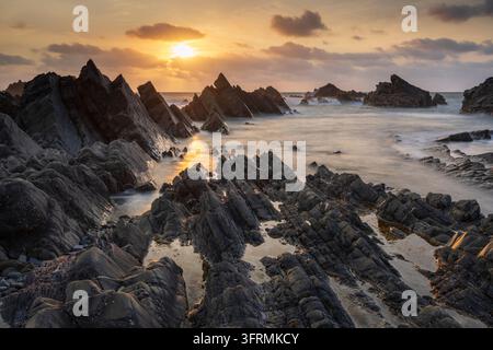 Couchant sur Hartland Quay, Devon, Angleterre. Automne (septembre) 2024 Banque D'Images