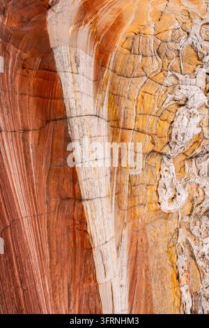 gros plan d'une texture minérale colorée et de grès stratifié érodé aux Candy Cliffs à Yant Flat, dans l'Utah, révélant des tons orange vif, rouge, blanc et or Banque D'Images