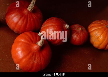 Gros plan détaillé de citrouilles orange disposées dans un cadre rustique sombre, mettant en évidence la peau striée, la couleur saisonnière chaude et la texture naturelle pour l'automne Banque D'Images