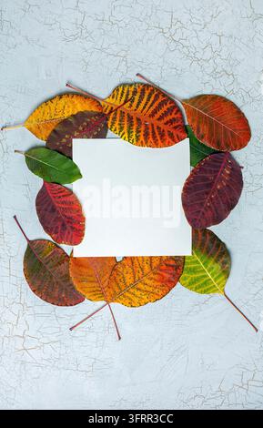 Cadre nature. Disposition composée de feuilles d'automne colorées avec espace pour du texte. Vue de dessus. Mise à plat Banque D'Images