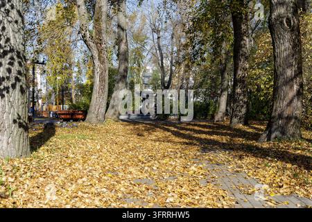 Vue panoramique d'une fontaine en pierre historique dans un jardin public scandinave tranquille recouvert d'un feuillage jaune en automne. Banque D'Images