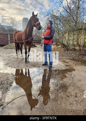 Un homme se tient avec un cheval brun près d'une flaque boueuse. Le cheval porte un mors et un licol, attaché par une longe. L'homme tient les rênes et fait un geste vers l'animal. Les reflets des deux apparaissent dans l'eau peu profonde Banque D'Images